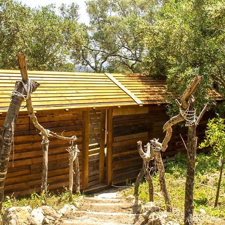 Pelekas Olive Grove Oasis Room No4 Esterno foto